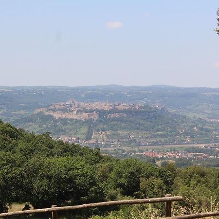 אורביאטו Agriturismo Fattoria Poggio Boalaio מראה חיצוני תמונה