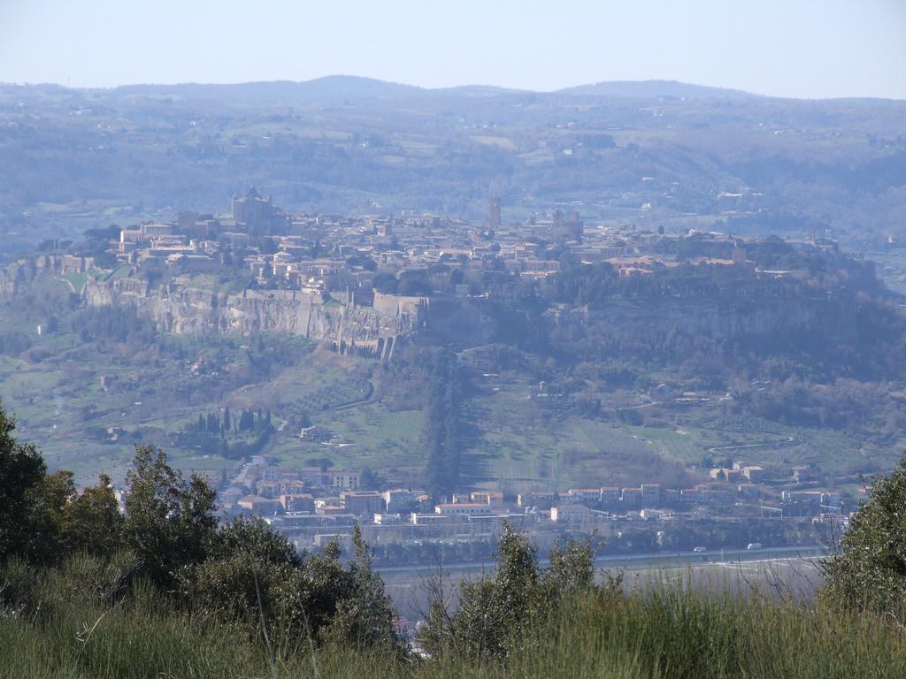 אורביאטו Agriturismo Fattoria Poggio Boalaio מראה חיצוני תמונה