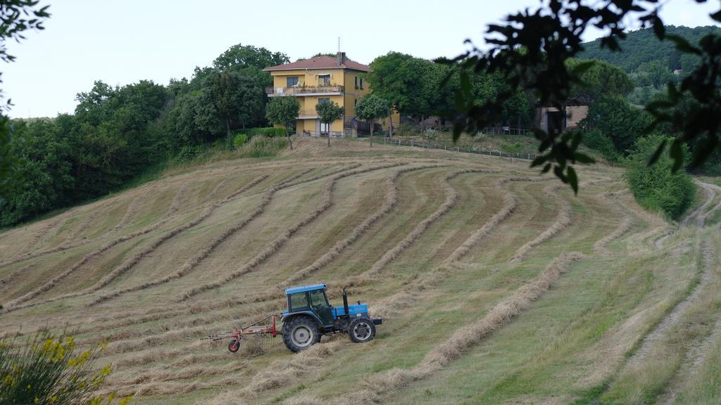 אורביאטו Agriturismo Fattoria Poggio Boalaio מראה חיצוני תמונה
