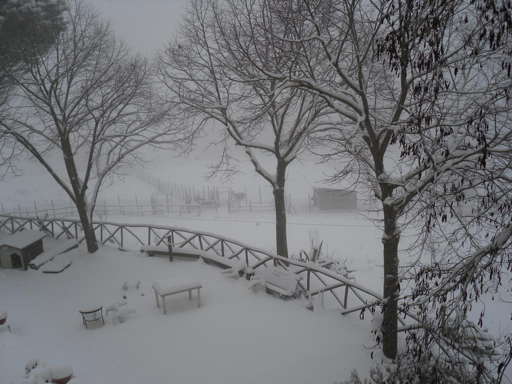 אורביאטו Agriturismo Fattoria Poggio Boalaio מראה חיצוני תמונה