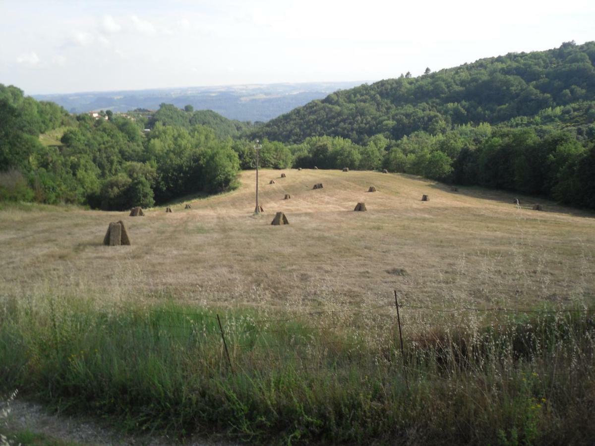 אורביאטו Agriturismo Fattoria Poggio Boalaio מראה חיצוני תמונה